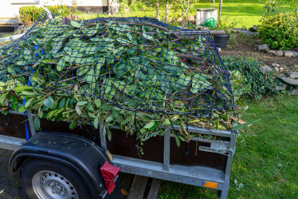 Best Estate Cleanout  in Tremont, IL